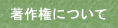漢字名前署名サイン 著作権